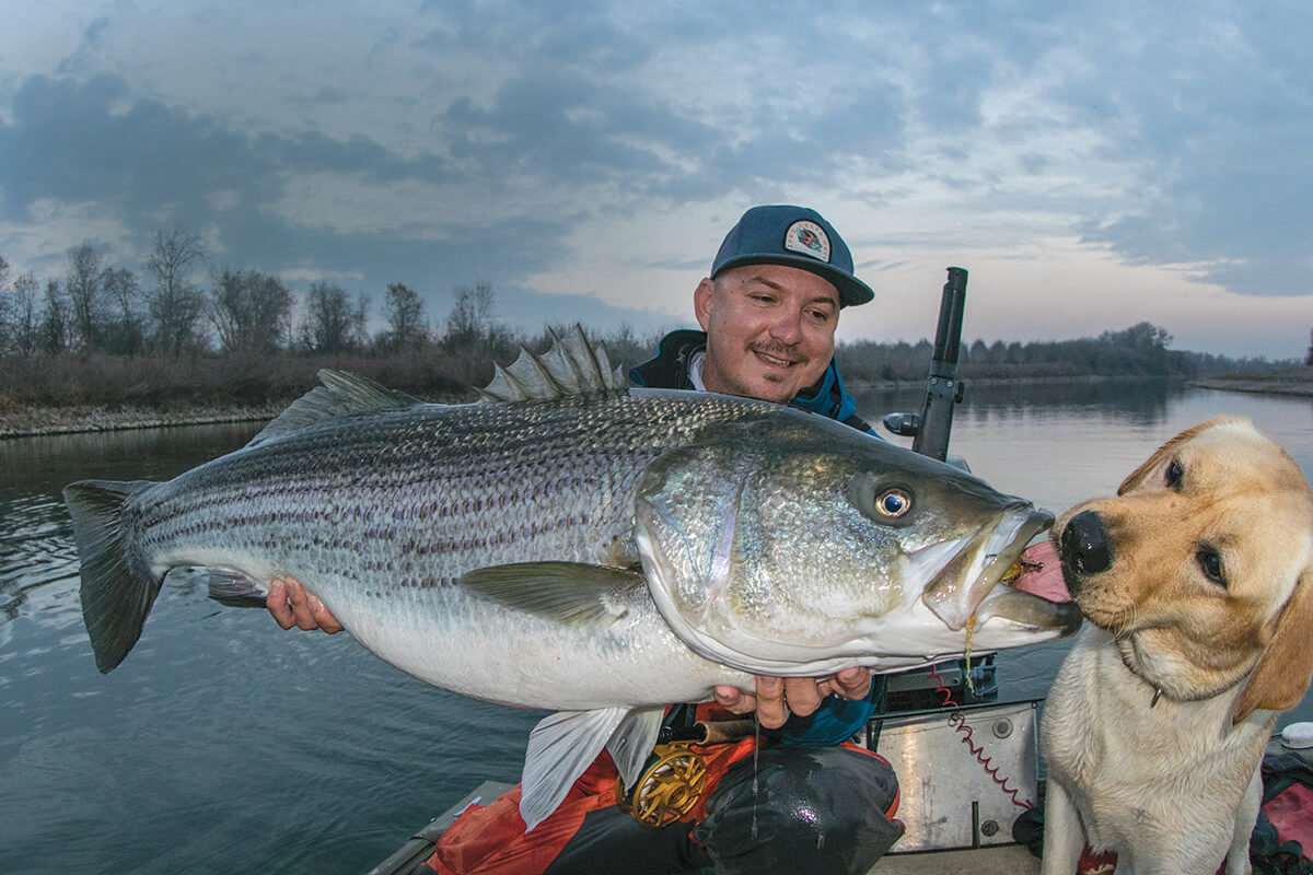 Fly Fishing for October Stripers on California's Sacramento River Delta